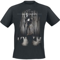 A Perfect Circle T-Shirt Disillusioned S to 4XL for Men black