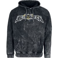 Helloween Hooded sweater Dr. Stein S to XXL for Men anthracite